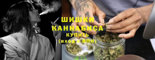 шишки Алексин