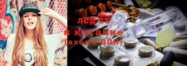 дурь Алзамай