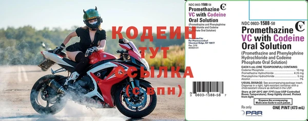 дурь Алзамай